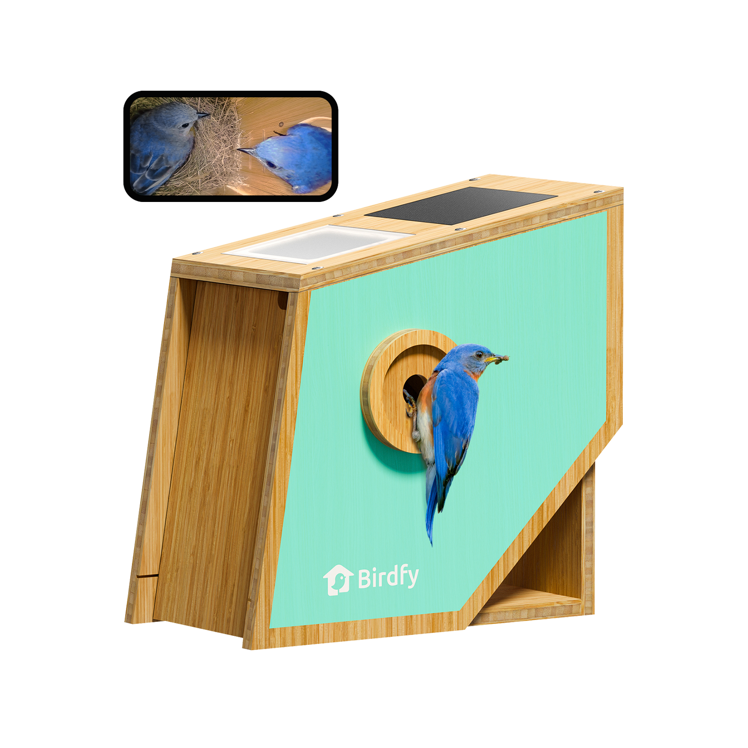 Birdfy Nest Polygon - Smart Birdhouse with Camera