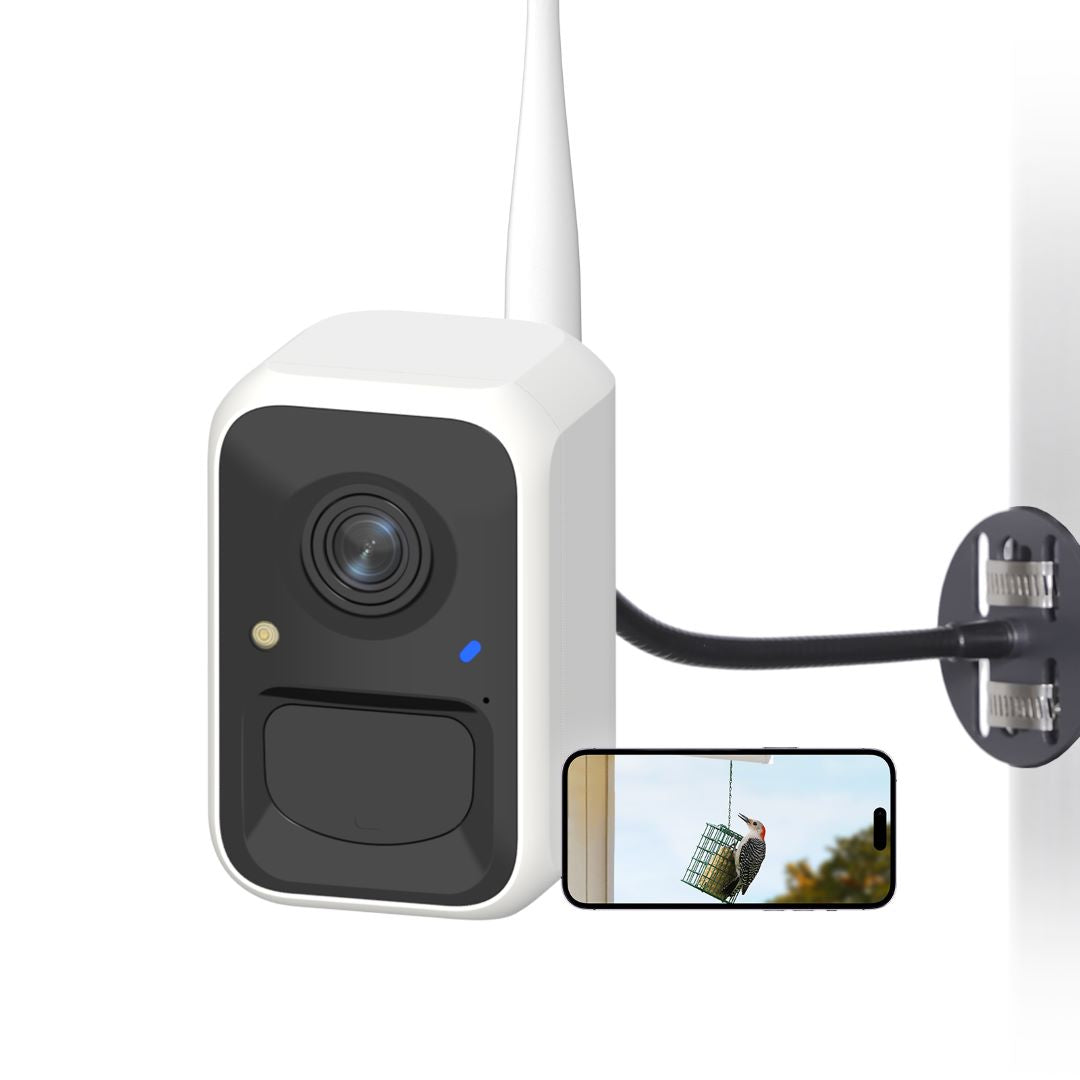 Birdfy Cam Bird Camera with Motion Detection birdfyuk