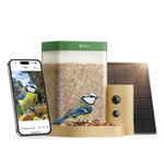 Birdfy Feeder Rookie - Beginner-Friendly Smart Bird Feeder
