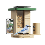 Birdfy Feeder Wood - Wooden Smart Bird Feeder with Camera