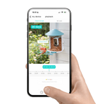 AI Bird Recognition Subscription Plans