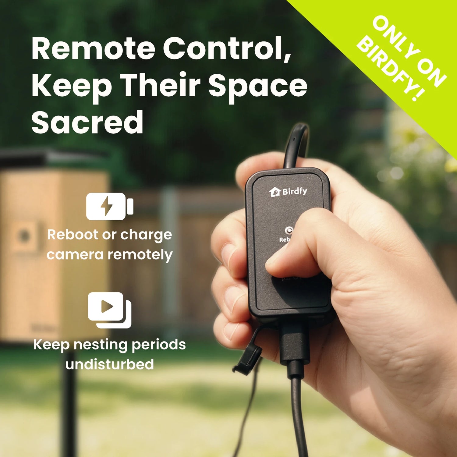 Birdfy Nest Duo - Upgraded Smart Bird House with Dual Cameras