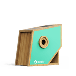 Birdfy Nest Polygon - Smart Birdhouse with Camera