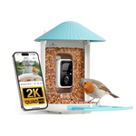 Birdfy Feeder 1 - Bird Feeder Camera