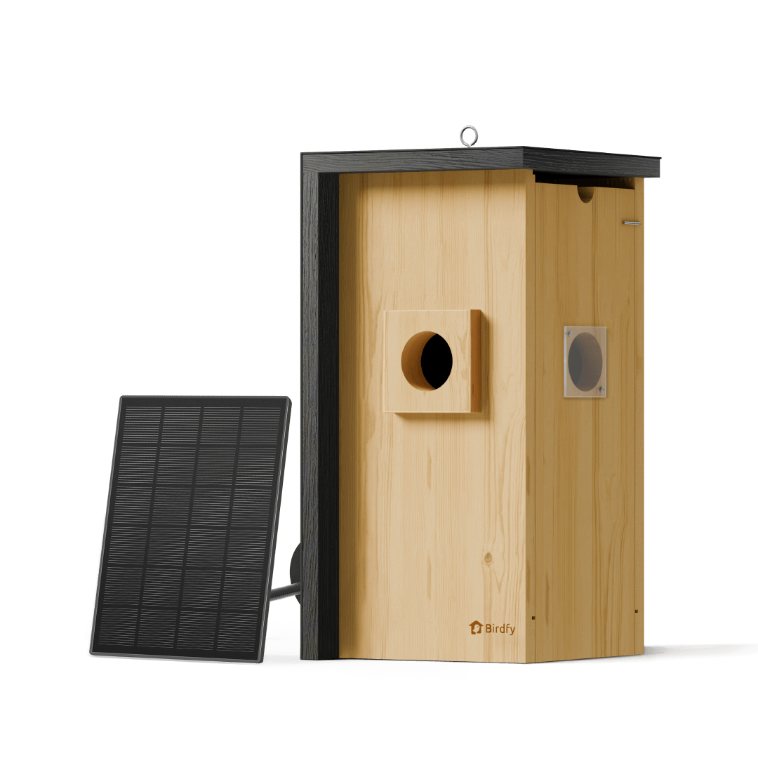 Birdfy Nest - Wooden Smart Birdhouse with Camera