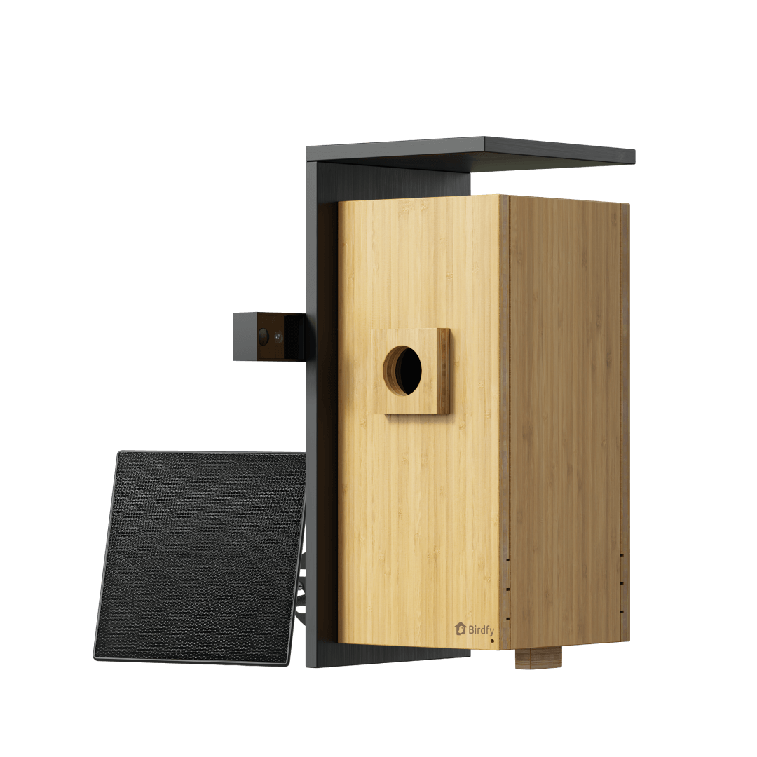 Birdfy Nest Duo - Upgraded Smart Bird House with Dual Cameras