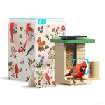Birdfy Feeder Wood - Limited Father's Day Gift Set