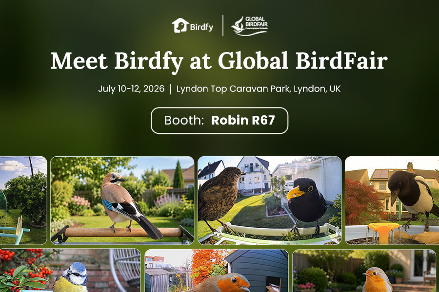 Where Birding Meets AI: Birdfy at Global Birdfair 2026 With Live Demos & Ambassador Talks