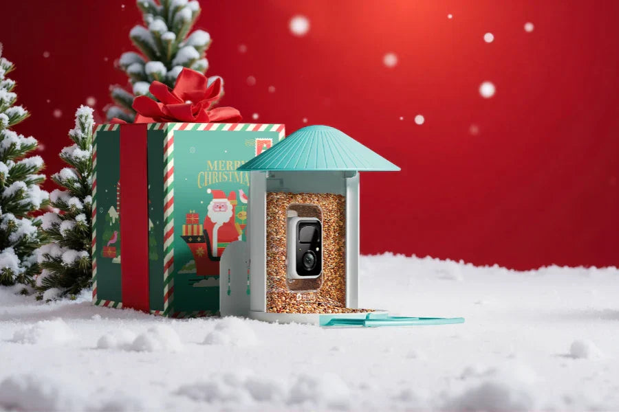 christmas gift for grandparents in the UK