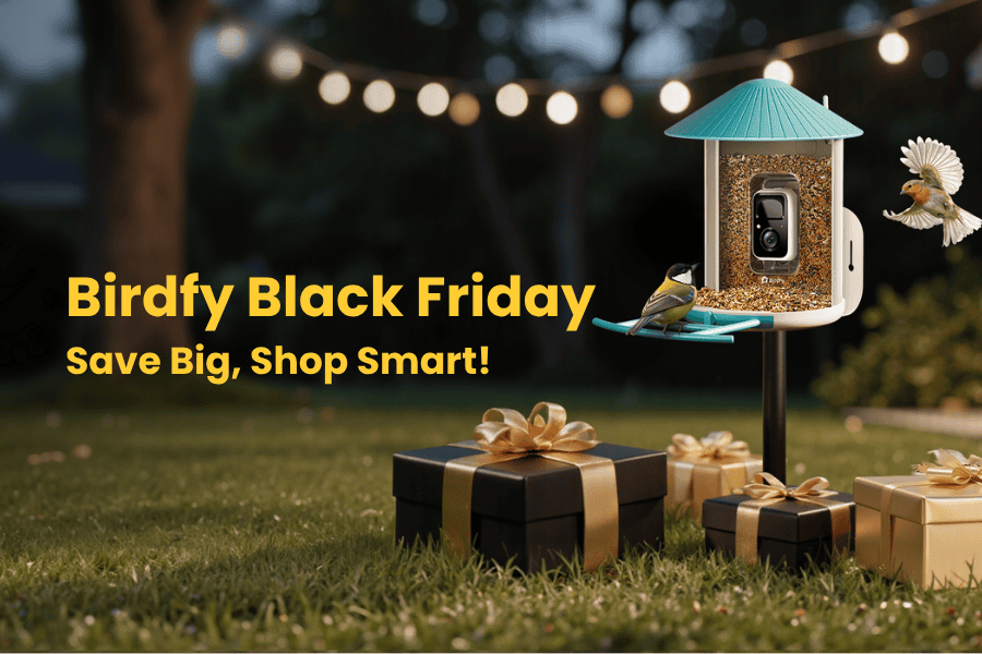 Birdfy UK Black Friday 2026: Up to 50% Off Every Smart Bird Feeder
