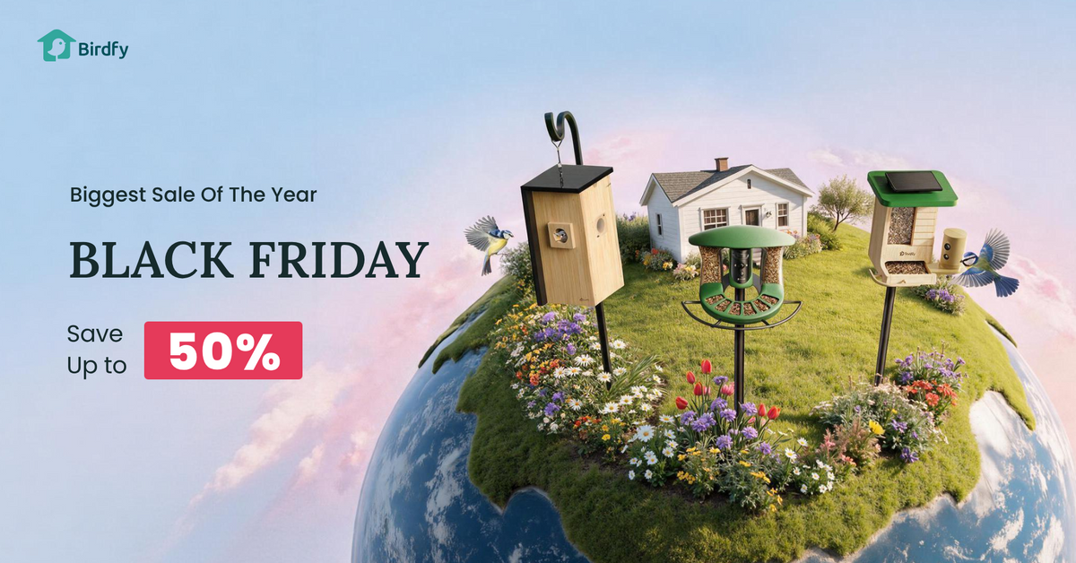 Birdfy UK Black Friday Prices 2026: Every Smart Feeder and Nest Deal