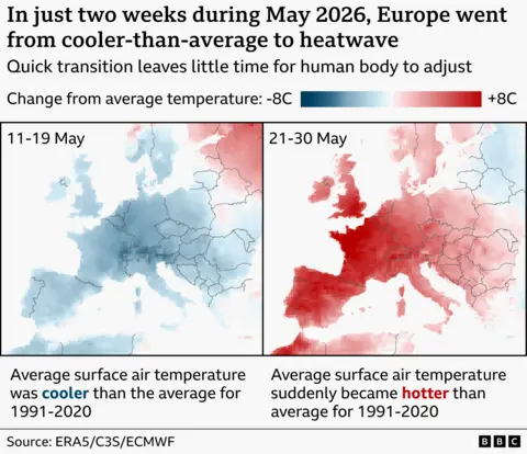 How to Help Birds Survive in 2026 European Heatwave (Bird Bath for UK)