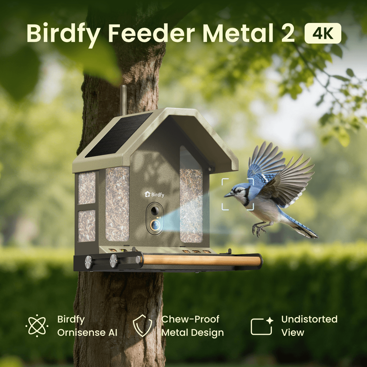 Birdfy Metal 2 4K Launches in the UK: Powerful Smart Bird Feeder 2026