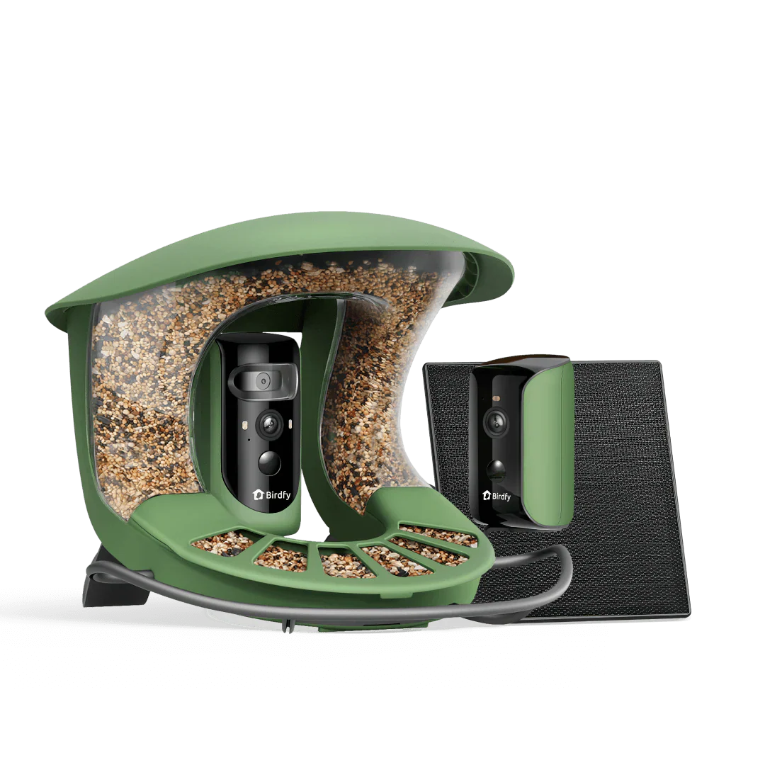 Bird Feeder