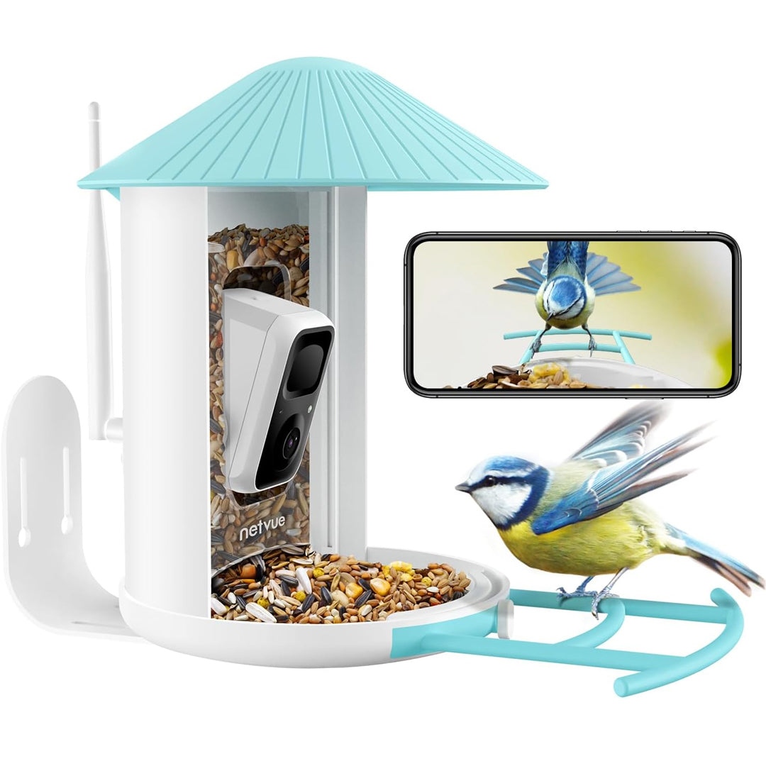 Bird Feeder Series