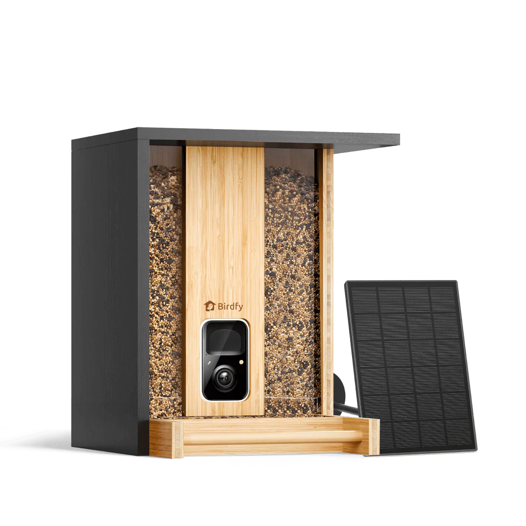 Birdfy Feeder Bamboo Series