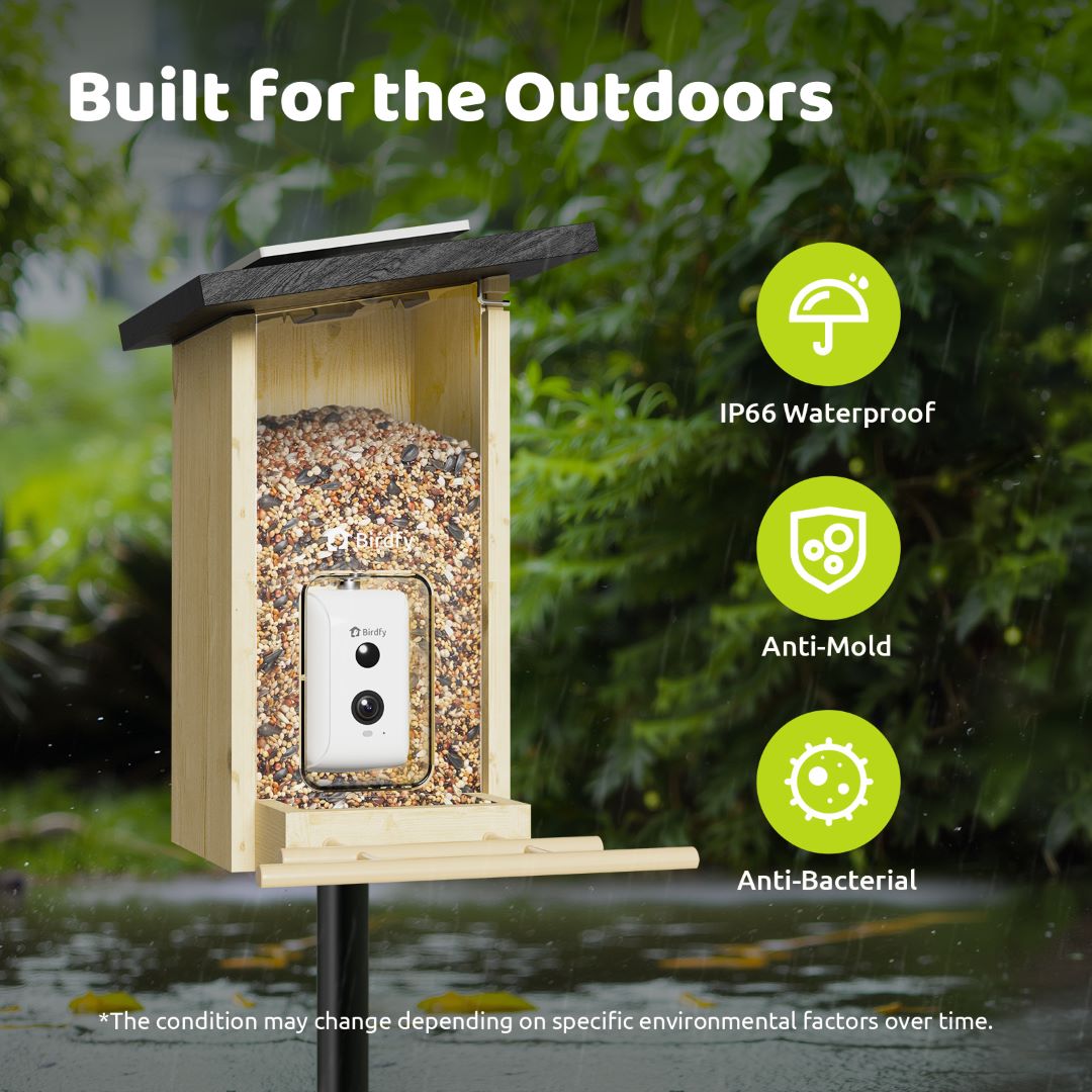 Birdfy Feeder Ebony - Wooden Smart Bird Feeder