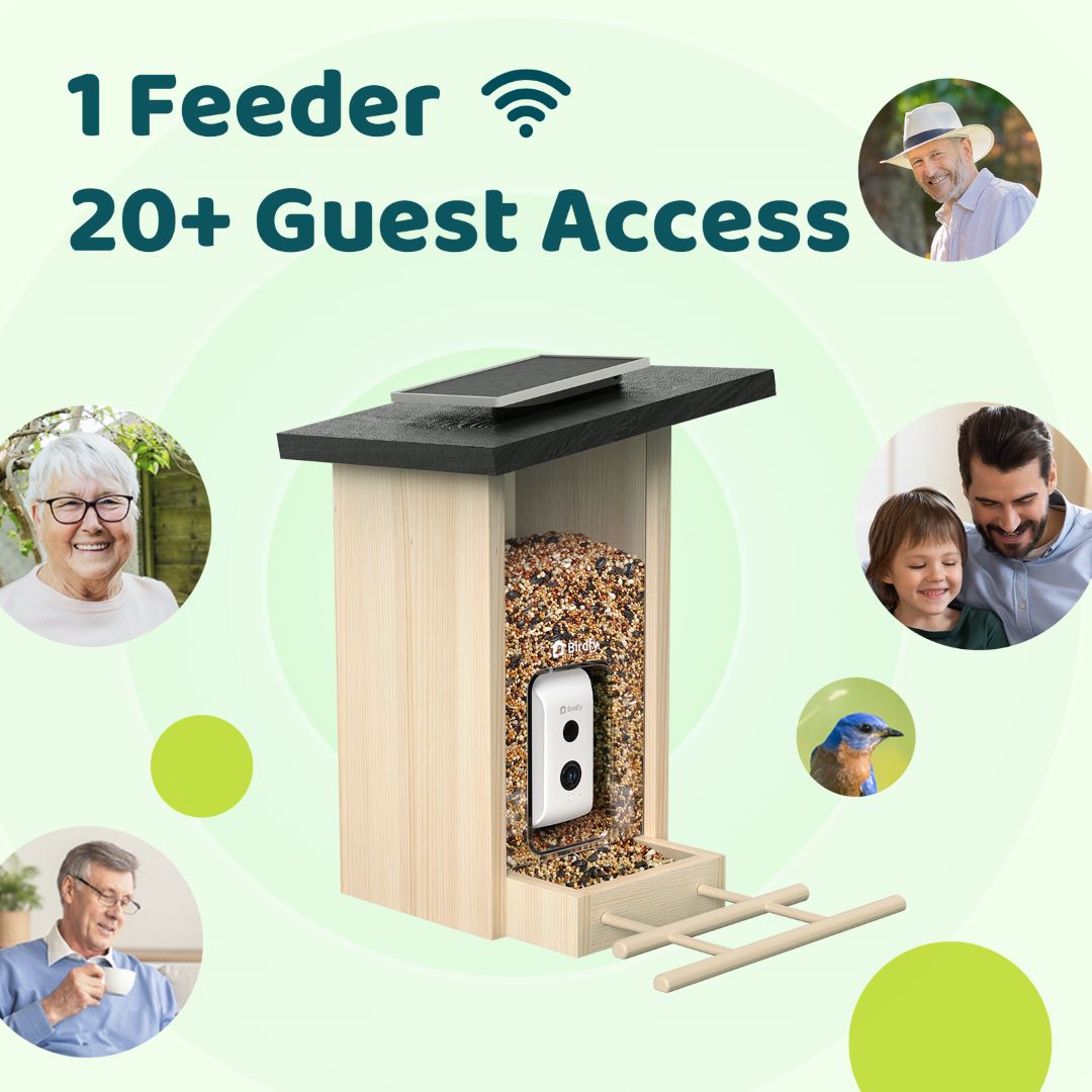 Birdfy Feeder Ebony - Wooden Smart Bird Feeder