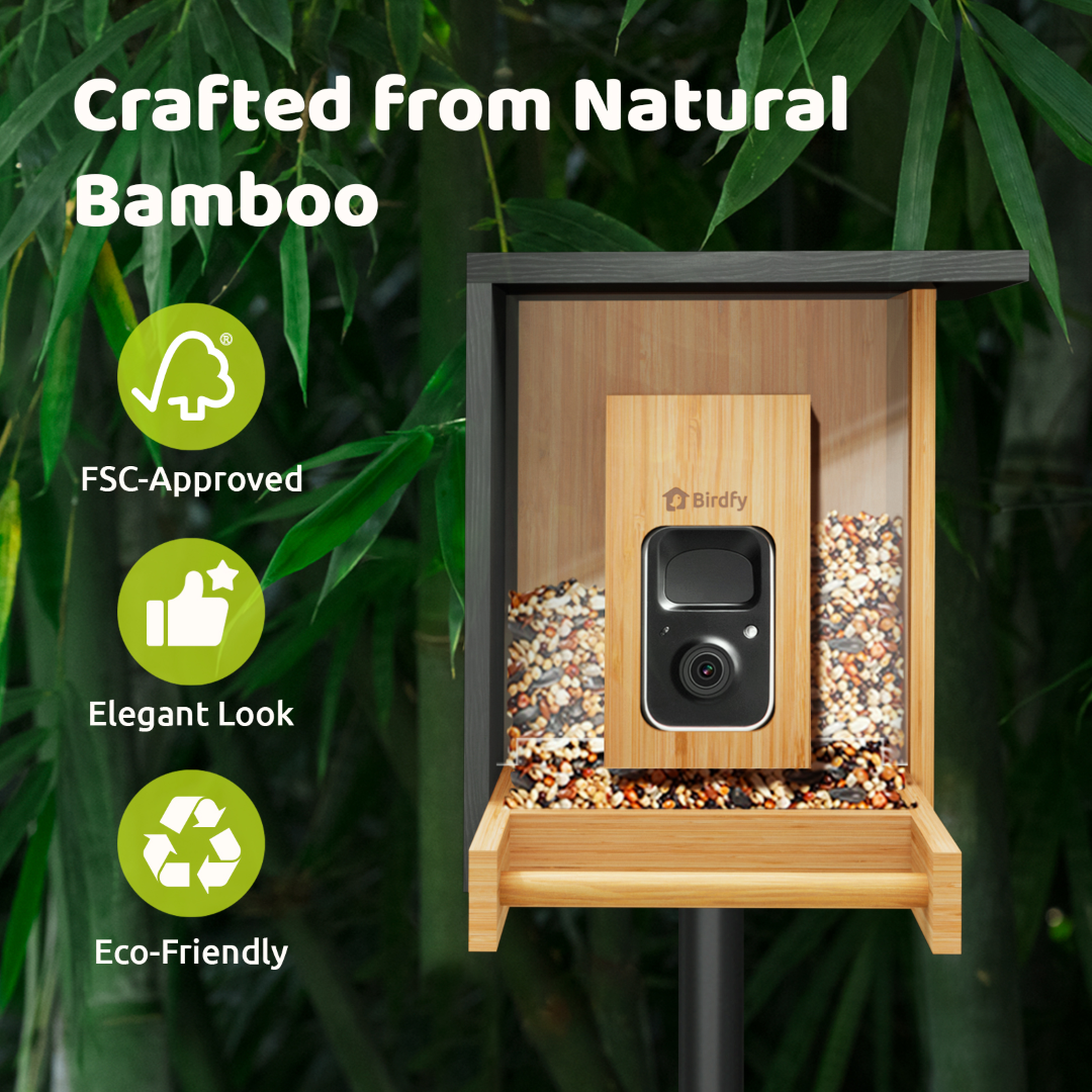 Birdfy Feeder Bamboo Mini - Bird Feeder With Camera