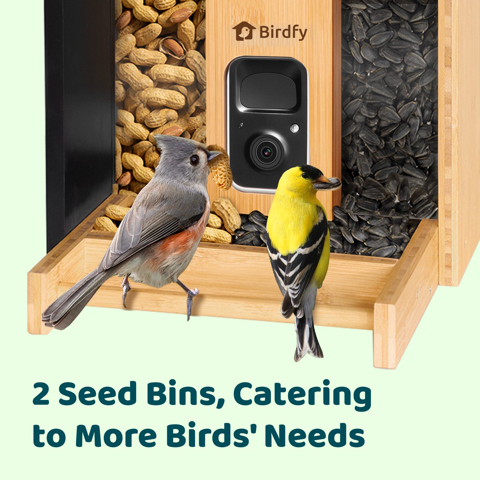 Birdfy Feeder Bamboo Mini - Bird Feeder With Camera