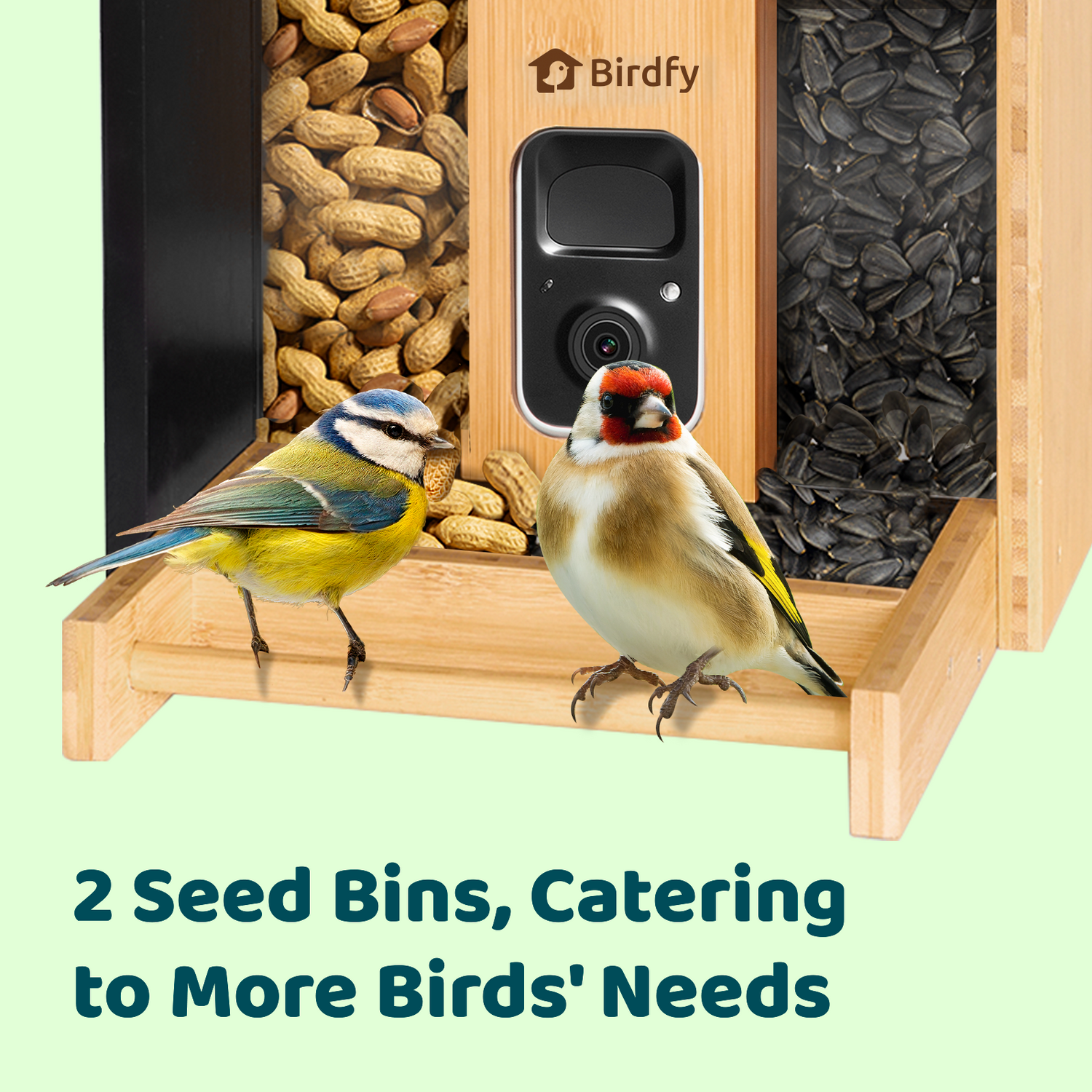 Birdfy Feeder Bamboo Mini + Birdfy Bath Pro Bundle