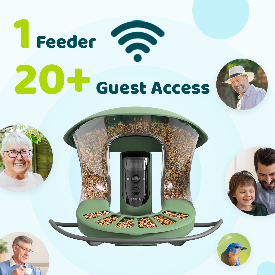 [Preorder] Birdfy Feeder 2 Pro - World's First Dual-Lens Smart Feeder