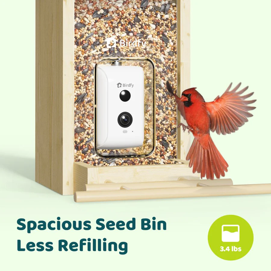 Birdfy Feeder Ebony - Wooden Smart Bird Feeder