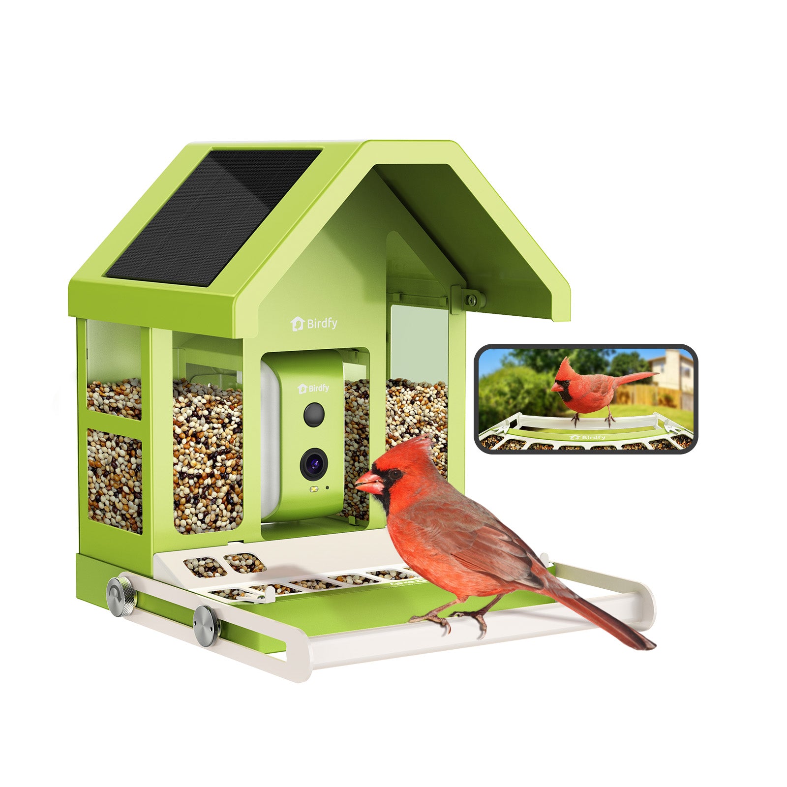 Birdfy Feeder Metal