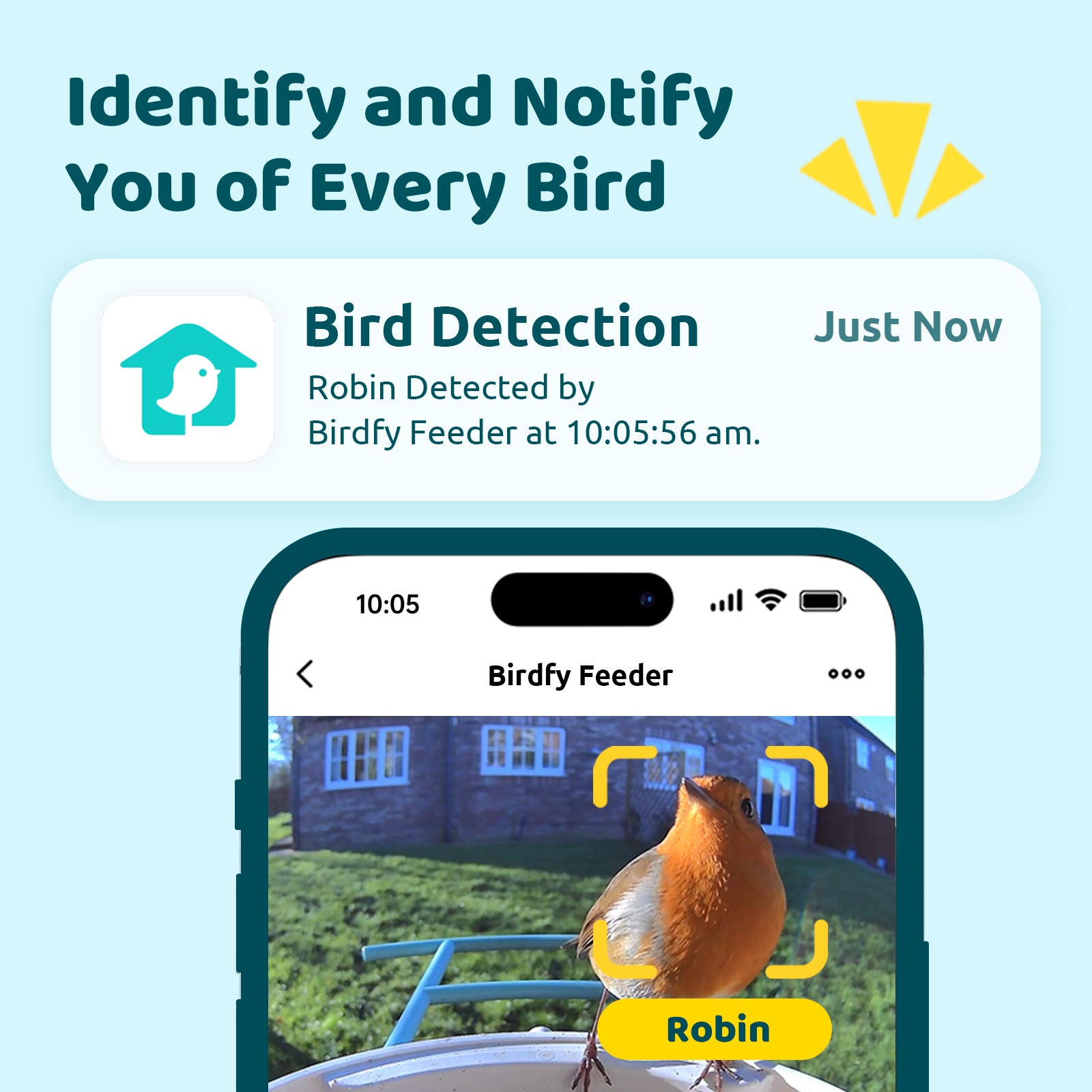 Birdfy Feeder - Fun, Best Gift, Educational Smart Bird Feeder