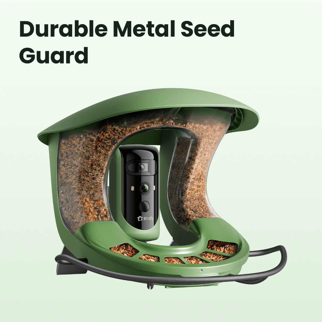 Birdfy Metal Seed Guard - A solid metal guard customized for Birdfy Feeder 2 Series