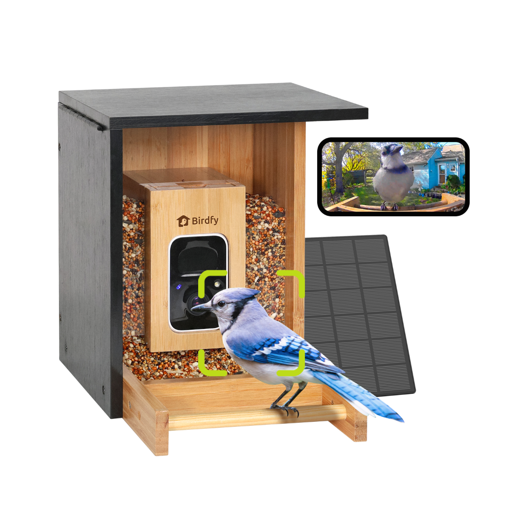 Birdfy Feeder Bamboo Mini - Bird Feeder With Camera