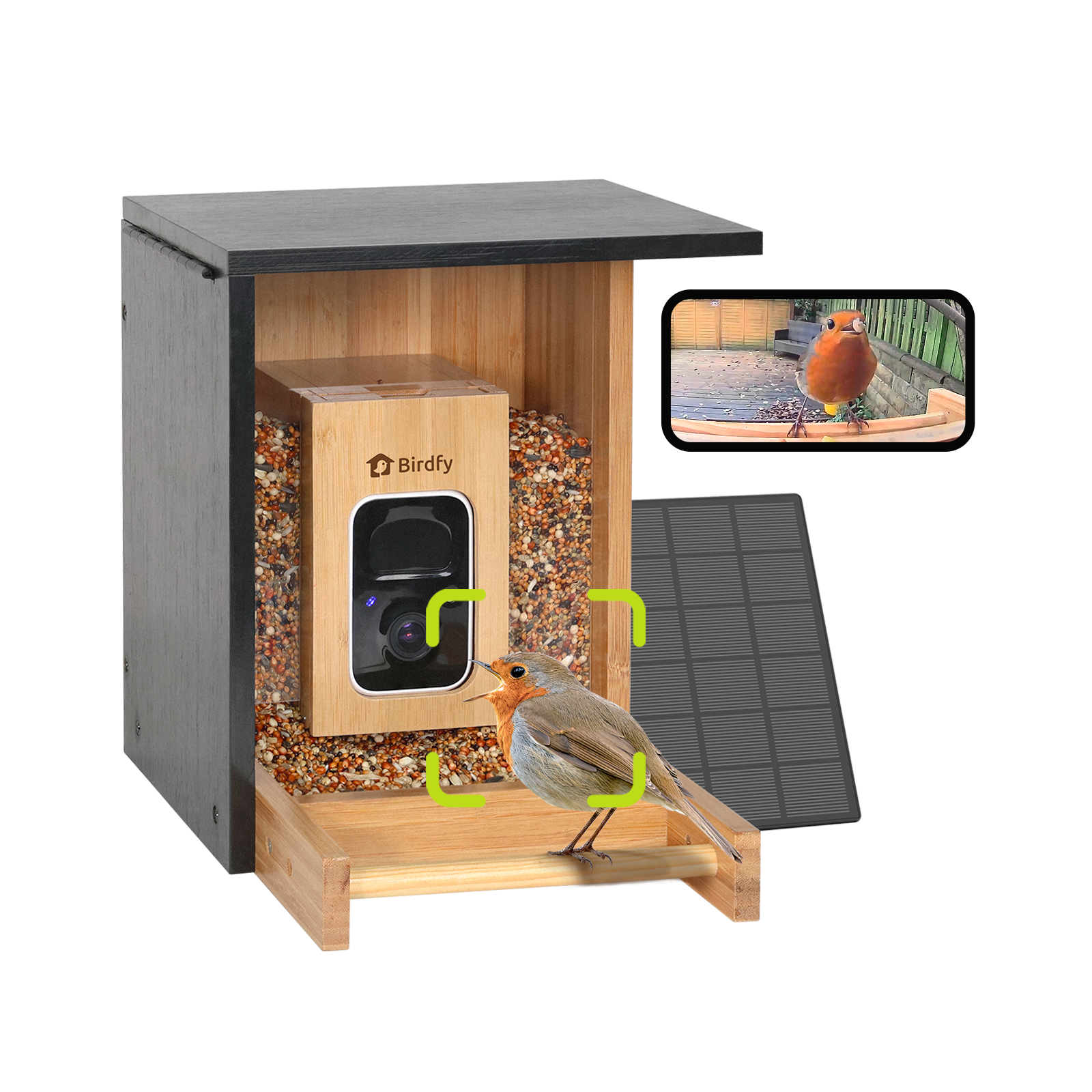 Birdfy Feeder Bamboo Mini - Bird Feeder With Camera