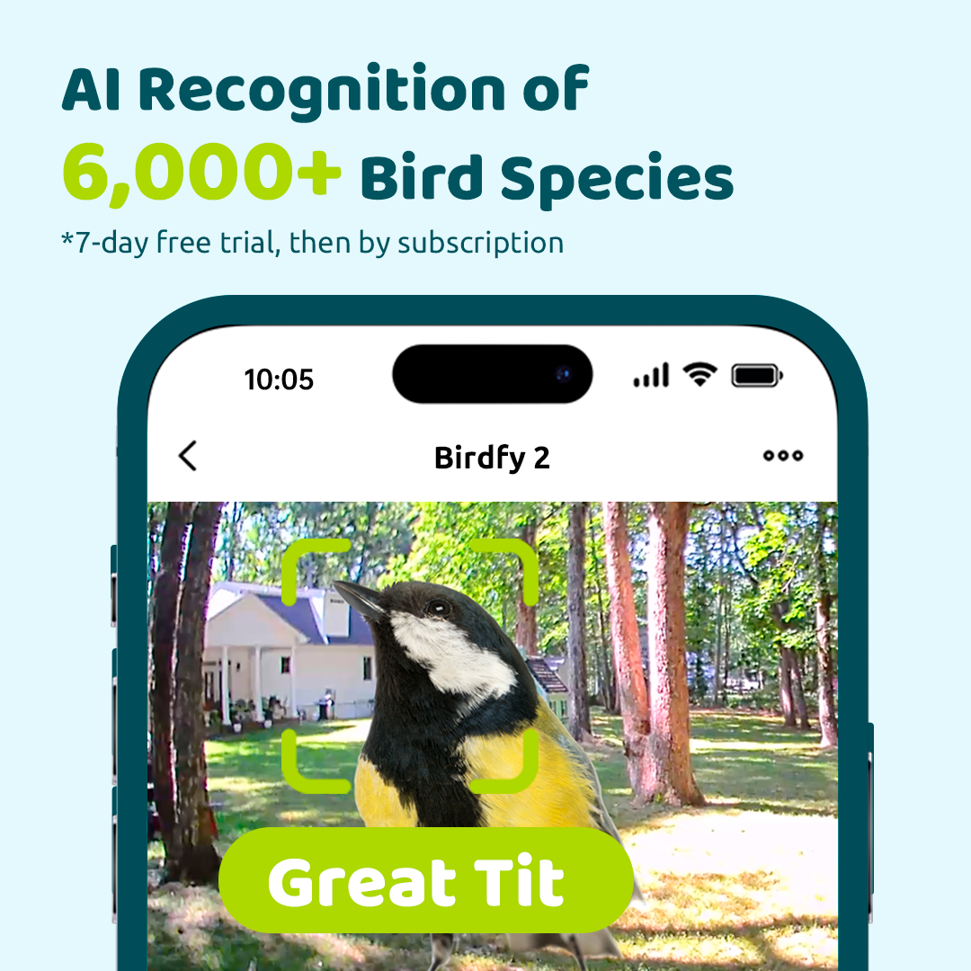 Birdfy Feeder 2 - Smart Bird Feeder