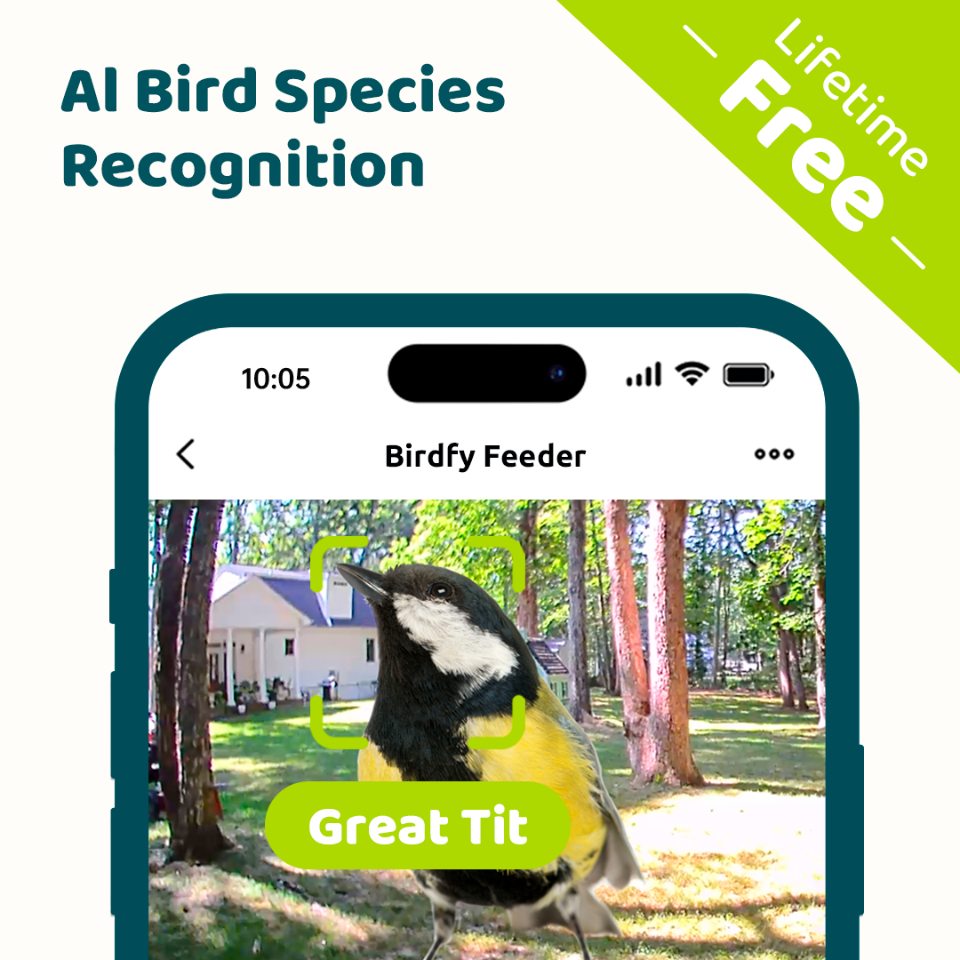 Birdfy Feeder 2 Duo - Bird Feeder with Camera