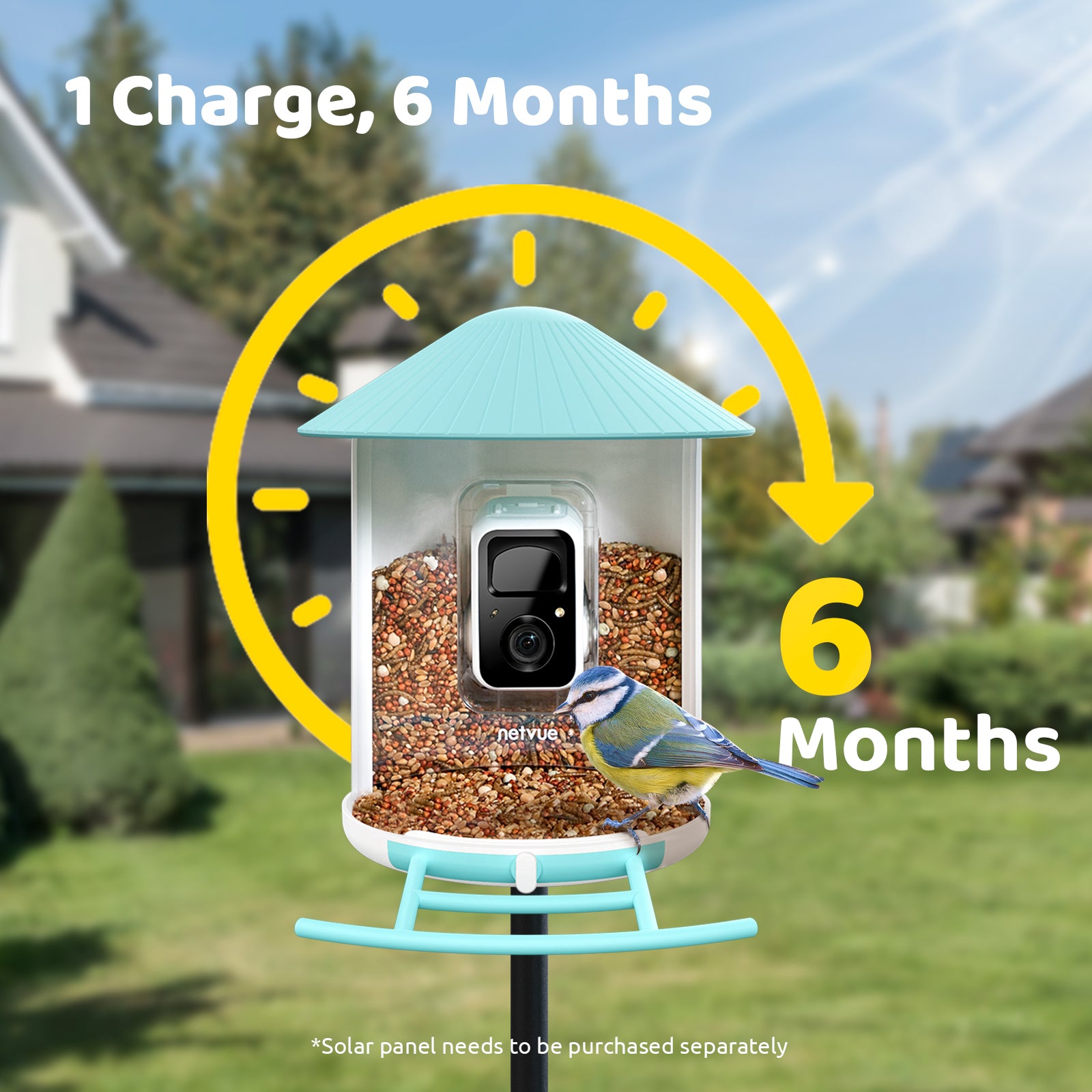 Birdfy Feeder - Fun, Best Gift, Educational Smart Bird Feeder