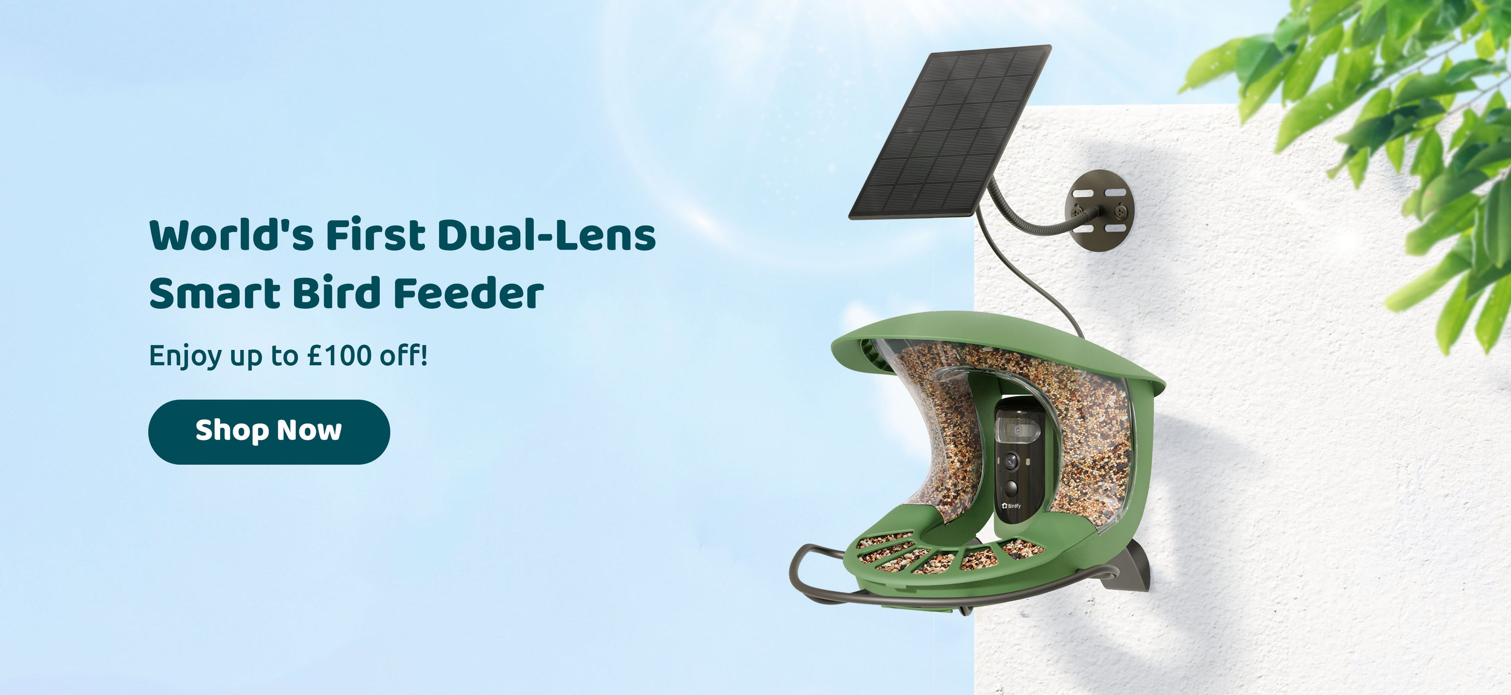Birdfy United Kingdom Webiste - Smart Bird Feeder Camera – birdfyuk