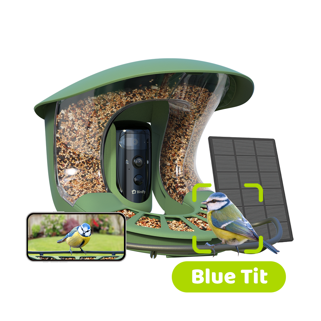 [Preorder] Birdfy Feeder 2 Pro - World's First Dual-Lens Smart Feeder