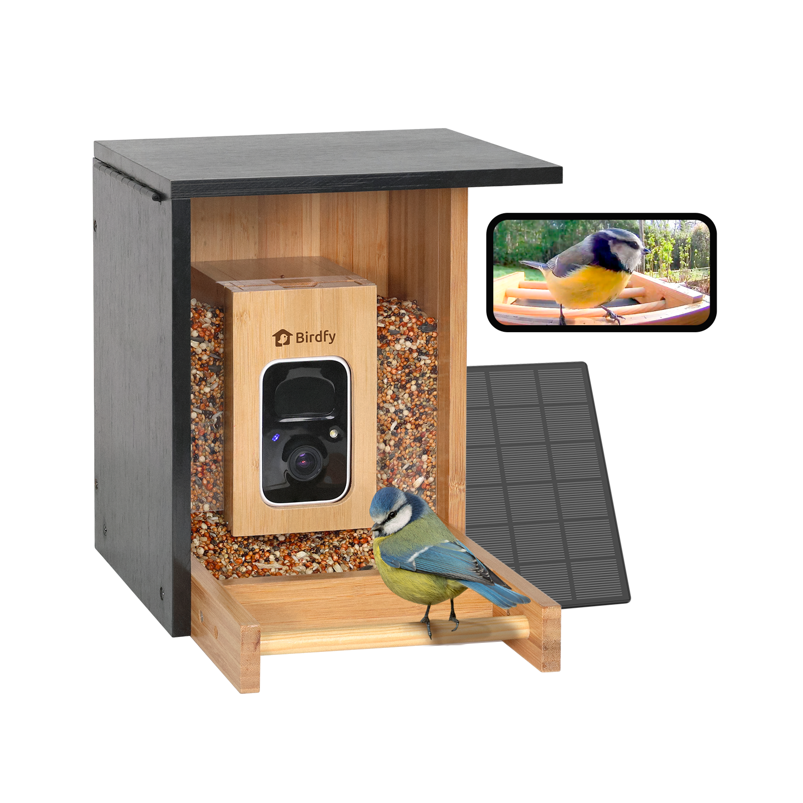 Birdfy Feeder Bamboo Mini - Bird Feeder With Camera