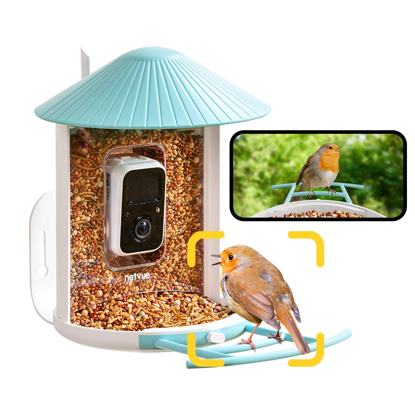 Birdfy Feeder - Fun, Best Gift, Educational Smart Bird Feeder