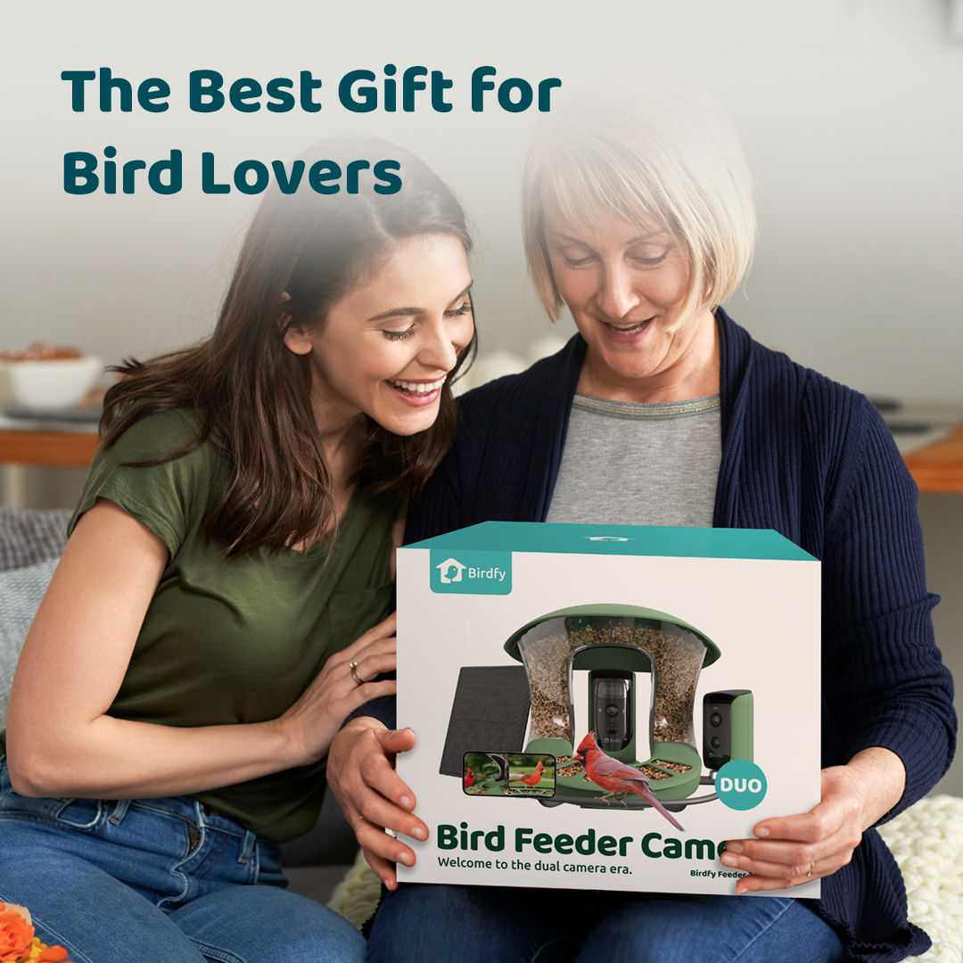 Birdfy Feeder 2 Duo - Bird Feeder with Camera