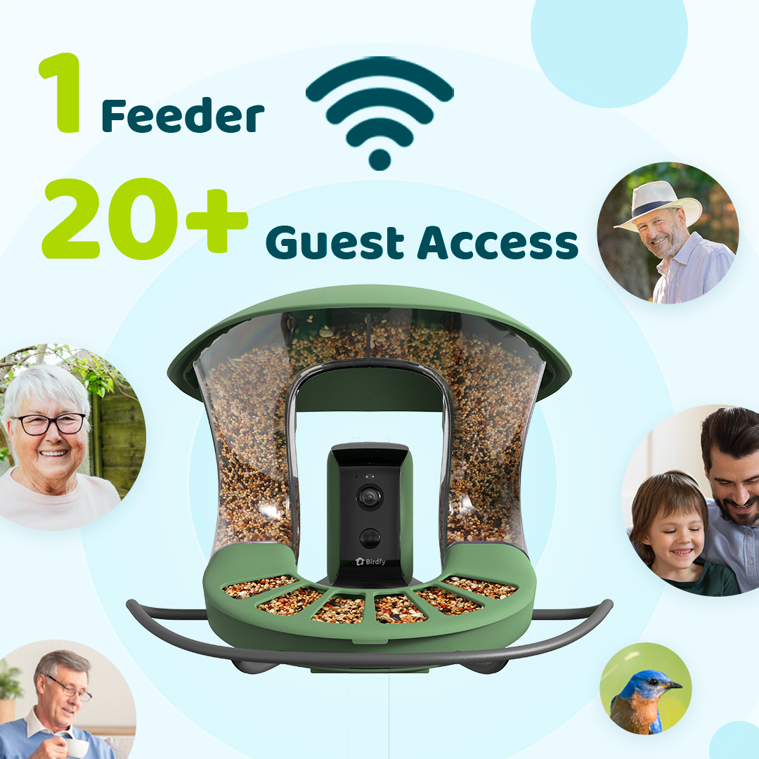 Birdfy Feeder 2 - Smart Bird Feeder