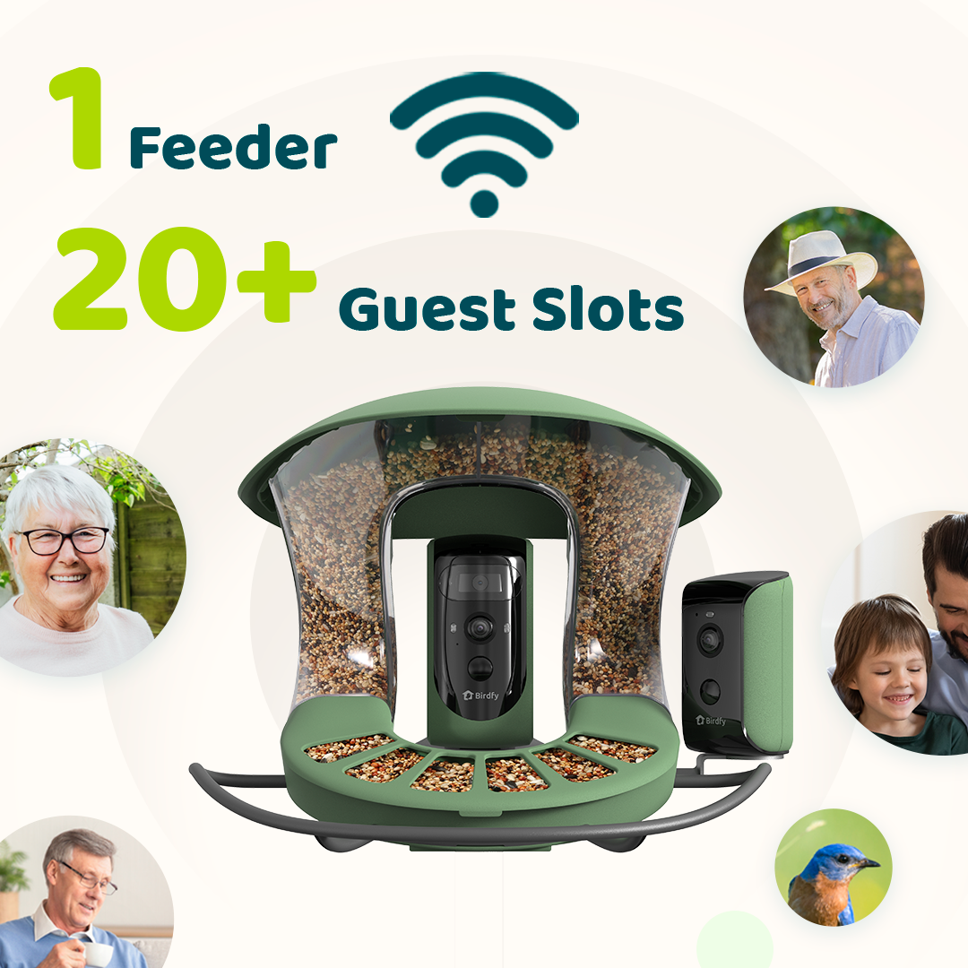 Birdfy Feeder 2 Duo - Bird Feeder with Camera