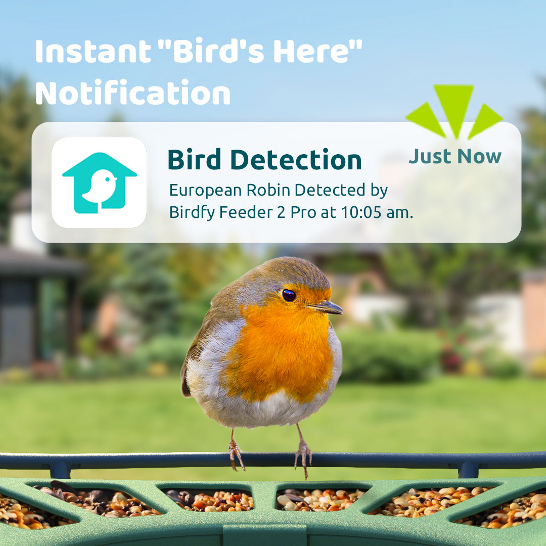 Birdfy Feeder 2 Pro - Bird Feeder Camera