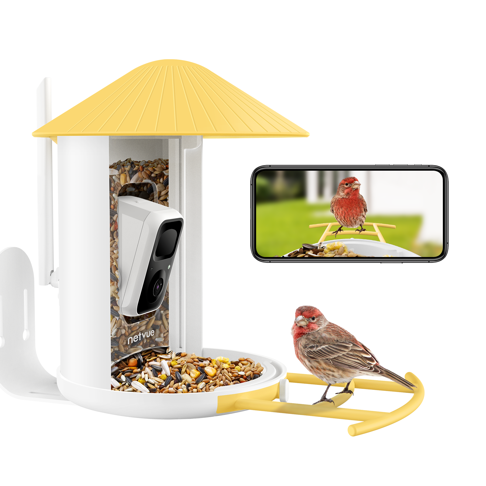 Birdfy Feeder - Fun, Best Gift, Educational Smart Bird Feeder