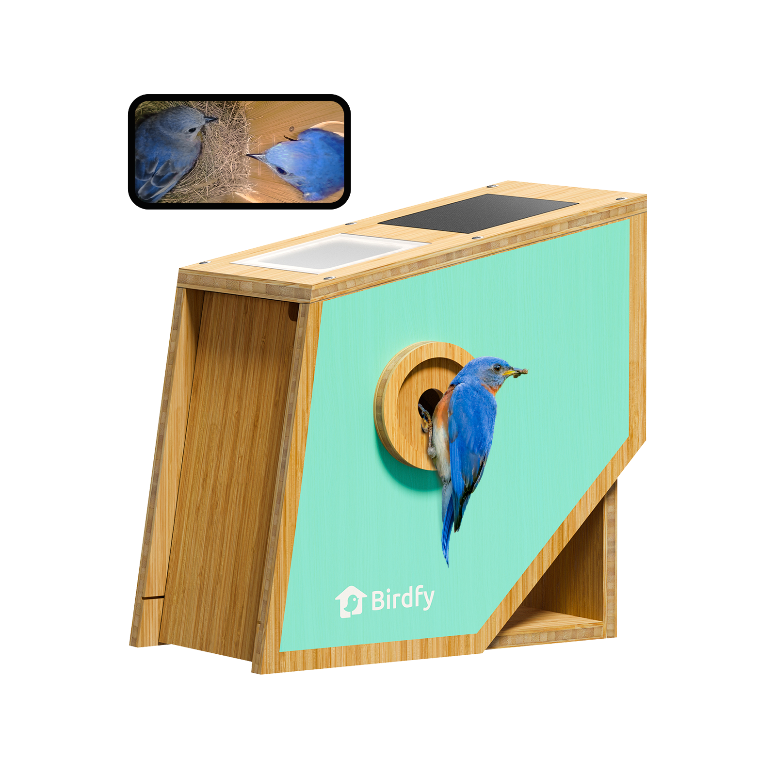 Birdfy Nest Polygon - Smart Birdhouse with Camera