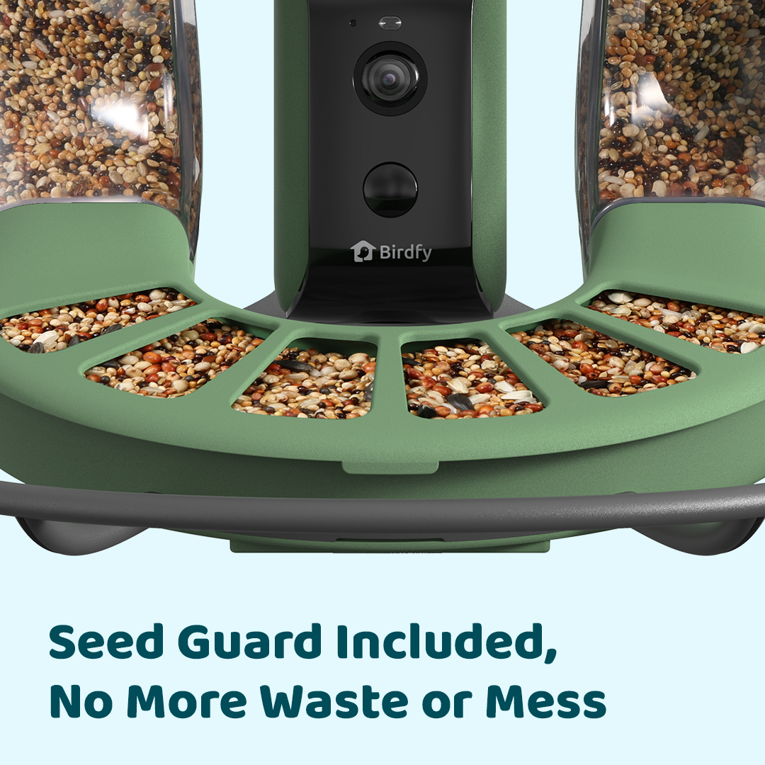 Birdfy Feeder 2 - Smart Bird Feeder