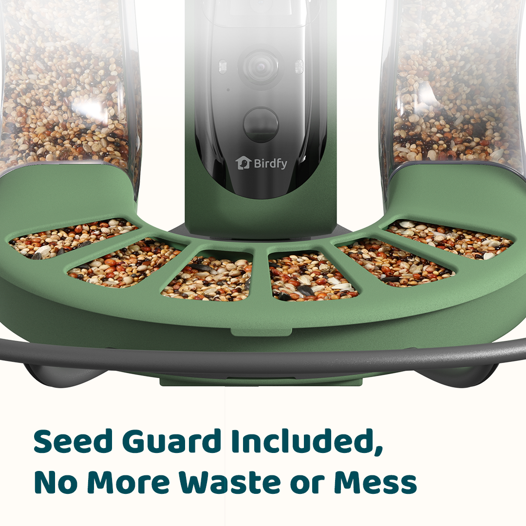 Birdfy Feeder 2 Duo - Bird Feeder with Camera