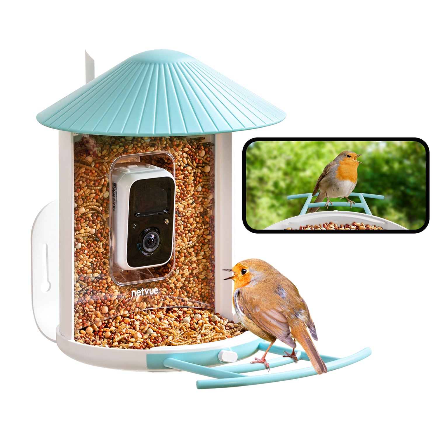 Birdfy Feeder 1 - Bird Feeder Camera