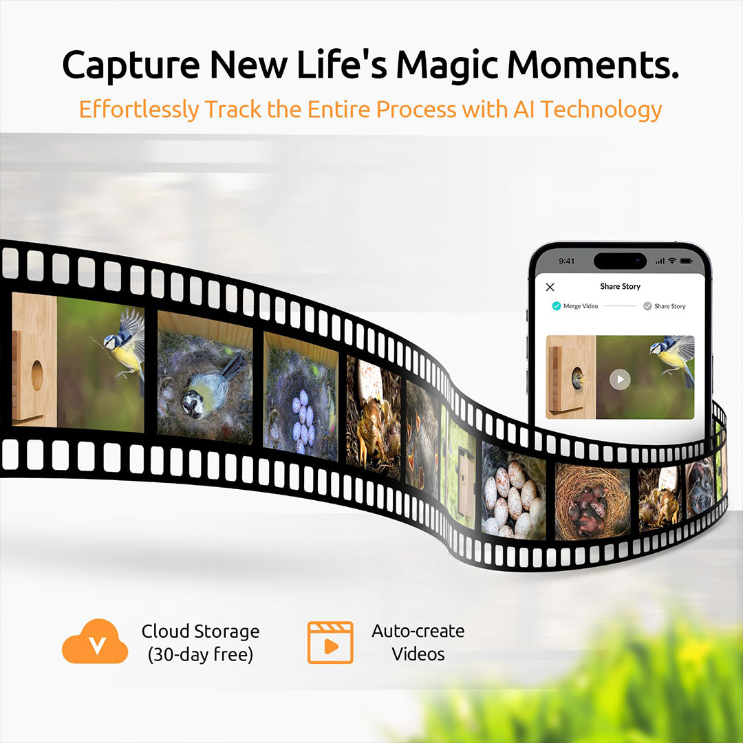 Birdfy Nest - Smart Bird House with Dual Cameras
