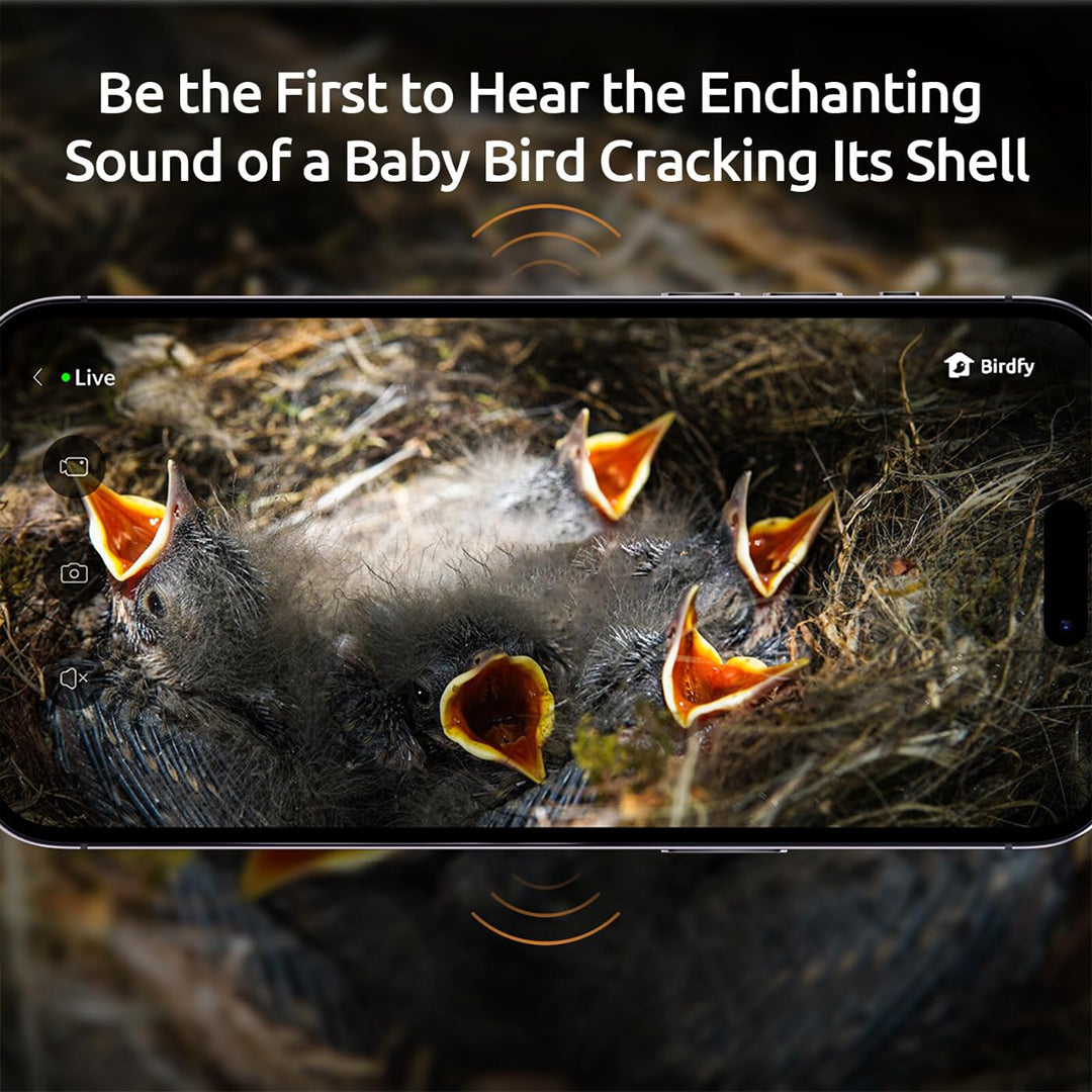 Birdfy Nest - Smart Bird House with Dual Cameras